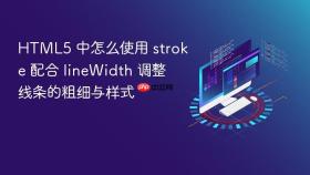 html5 中怎么使用 stroke 配合 linewidth 调整线条的粗细与样式