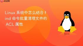 linux 系统中怎么结合 find 命令批量清理文件的 acl 属性