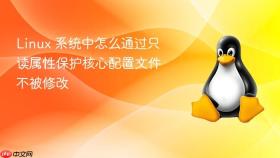 linux 系统中怎么通过只读属性保护核心配置文件不被修改