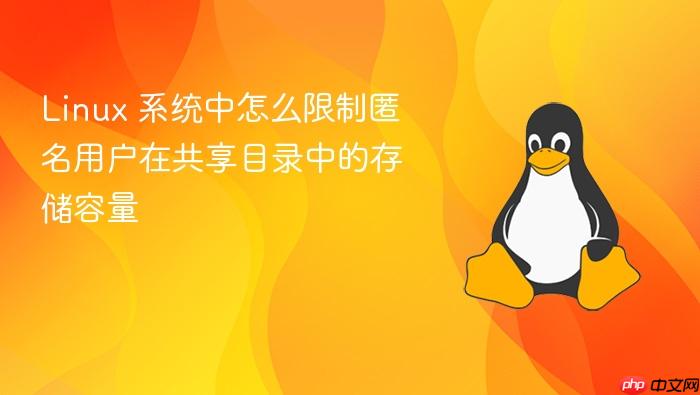 linux 系统中怎么限制匿名用户在共享目录中的存储容量
