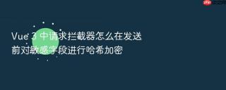 vue 3 中请求拦截器怎么在发送前对敏感字段进行哈希加密