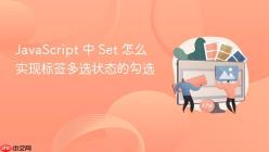 JavaScript 中 Set 怎么实现标签多选状态的勾选