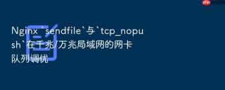 nginx `sendfile`与`tcp_nopush`在千兆/万兆局域网的网卡队列调优