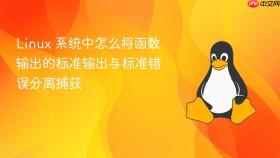 Linux 系统中怎么将函数输出的标准输出与标准错误分离捕获