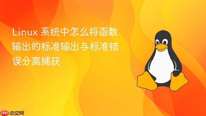 linux 系统中怎么将函数输出的标准输出与标准错误分离捕获