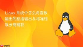 linux 系统中怎么将函数输出的标准输出与标准错误分离捕获
