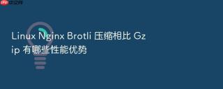 linux nginx brotli 压缩相比 gzip 有哪些性能优势