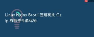 Linux Nginx Brotli 压缩相比 Gzip 有哪些性能优势