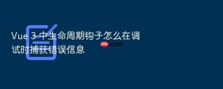 Vue 3 中生命周期钩子怎么在调试时捕获错误信息