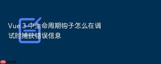 vue 3 中生命周期钩子怎么在调试时捕获错误信息
