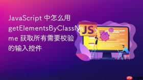 javascript 中怎么用 getelementsbyclassname 获取所有需要校验的输入控件