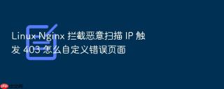 Linux Nginx 拦截恶意扫描 IP 触发 403 怎么自定义错误页面