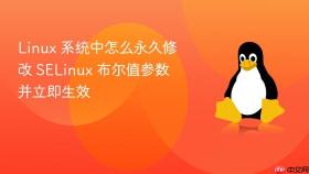 linux 系统中怎么永久修改 selinux 布尔值参数并立即生效