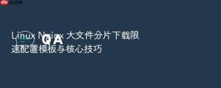 Linux Nginx 大文件分片下载限速配置模板与核心技巧