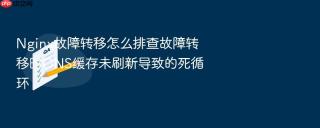 Nginx故障转移怎么排查故障转移时DNS缓存未刷新导致的死循环