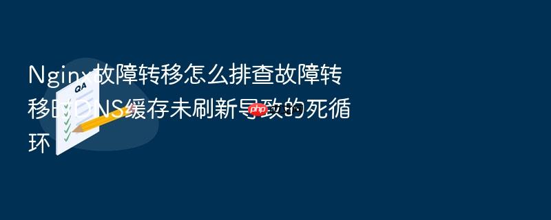 nginx故障转移怎么排查故障转移时dns缓存未刷新导致的死循环
