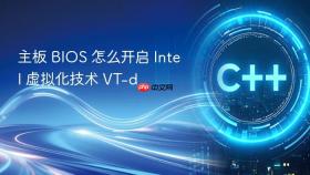 主板 BIOS 怎么开启 Intel 虚拟化技术 VT-d