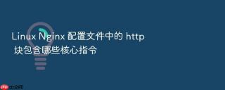 linux nginx 配置文件中的 http 块包含哪些核心指令