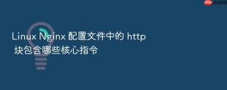 Linux Nginx 配置文件中的 http 块包含哪些核心指令