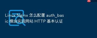 Linux Nginx 怎么配置 auth_basic 模块实现网站 HTTP 基本认证