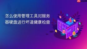 怎么使用管理工具对服务器硬盘进行坏道健康检查