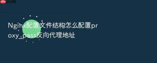 nginx配置文件结构怎么配置proxy_pass反向代理地址