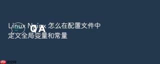 Linux Nginx 怎么在配置文件中定义全局变量和常量
