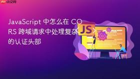 javascript 中怎么在 cors 跨域请求中处理复杂的认证头部
