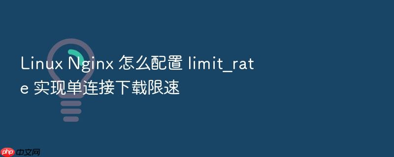 linux nginx 怎么配置 limit_rate 实现单连接下载限速