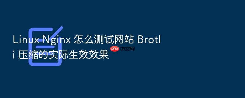 linux nginx 怎么测试网站 brotli 压缩的实际生效效果