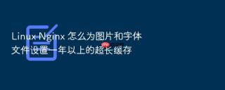Linux Nginx 怎么为图片和字体文件设置一年以上的超长缓存