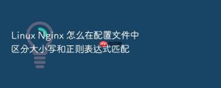 linux nginx 怎么在配置文件中区分大小写和正则表达式匹配