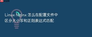 Linux Nginx 怎么在配置文件中区分大小写和正则表达式匹配