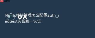 nginx模块管理怎么配置auth_request实现统一认证