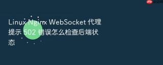 linux nginx websocket 代理提示 502 错误怎么检查后端状态