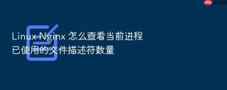 linux nginx 怎么查看当前进程已使用的文件描述符数量