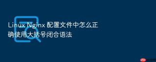 linux nginx 配置文件中怎么正确使用大括号闭合语法