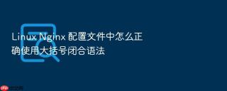Linux Nginx 配置文件中怎么正确使用大括号闭合语法