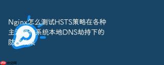 Nginx怎么测试HSTS策略在各种主流操作系统本地DNS劫持下的防御效果