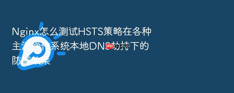 nginx怎么测试hsts策略在各种主流操作系统本地dns劫持下的防御效果