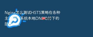 nginx怎么测试hsts策略在各种主流操作系统本地dns劫持下的防御效果