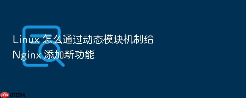 linux 怎么通过动态模块机制给 nginx 添加新功能