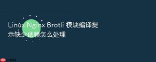 Linux Nginx Brotli 模块编译提示缺少依赖怎么处理