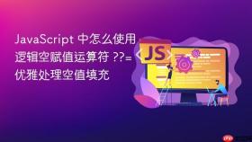 javascript 中怎么使用逻辑空赋值运算符 ??= 优雅处理空值填充