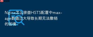 nginx怎么排查hsts配置中max-age数值过大导致长期无法撤销的困境