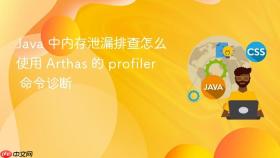 java 中内存泄漏排查怎么使用 arthas 的 profiler 命令诊断