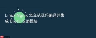 linux nginx 怎么从源码编译并集成 brotli 压缩模块