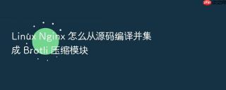 Linux Nginx 怎么从源码编译并集成 Brotli 压缩模块