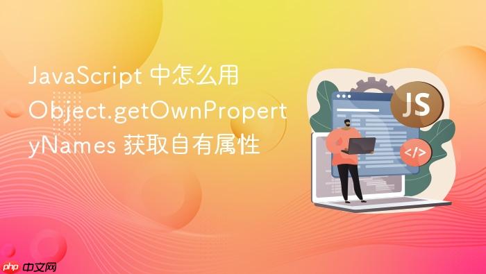 javascript 中怎么用 object.getownpropertynames 获取自有属性