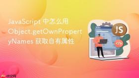 javascript 中怎么用 object.getownpropertynames 获取自有属性
